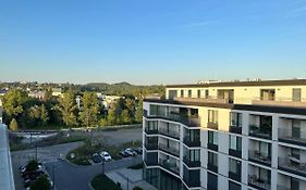Studio Ostrava - Penthouse Karolina